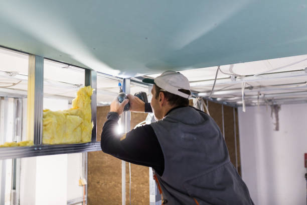 Best Insulation Removal  in Daniels Farm, CT