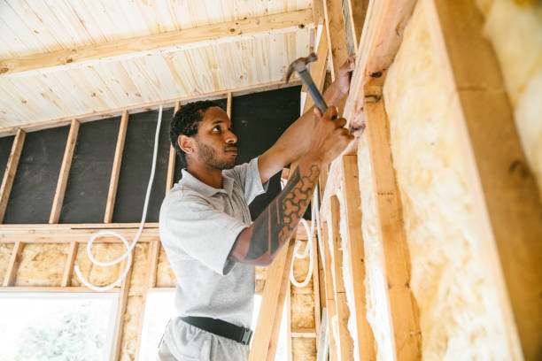 Best Insulation Replacement Services  in Daniels Farm, CT