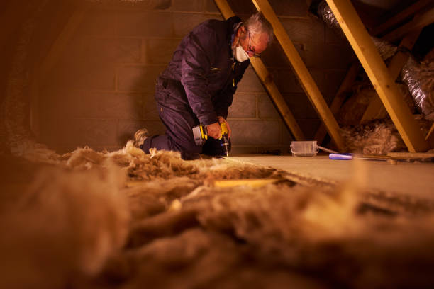 Insulation Replacement Services in Daniels Farm, CT